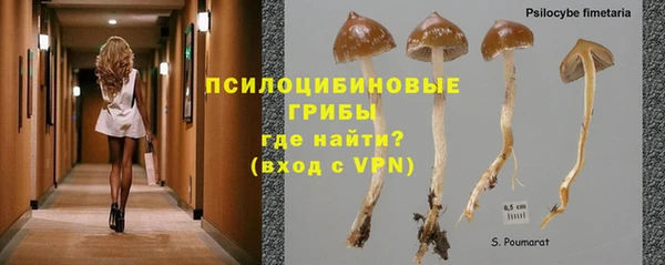 PSILOCYBIN Алексин